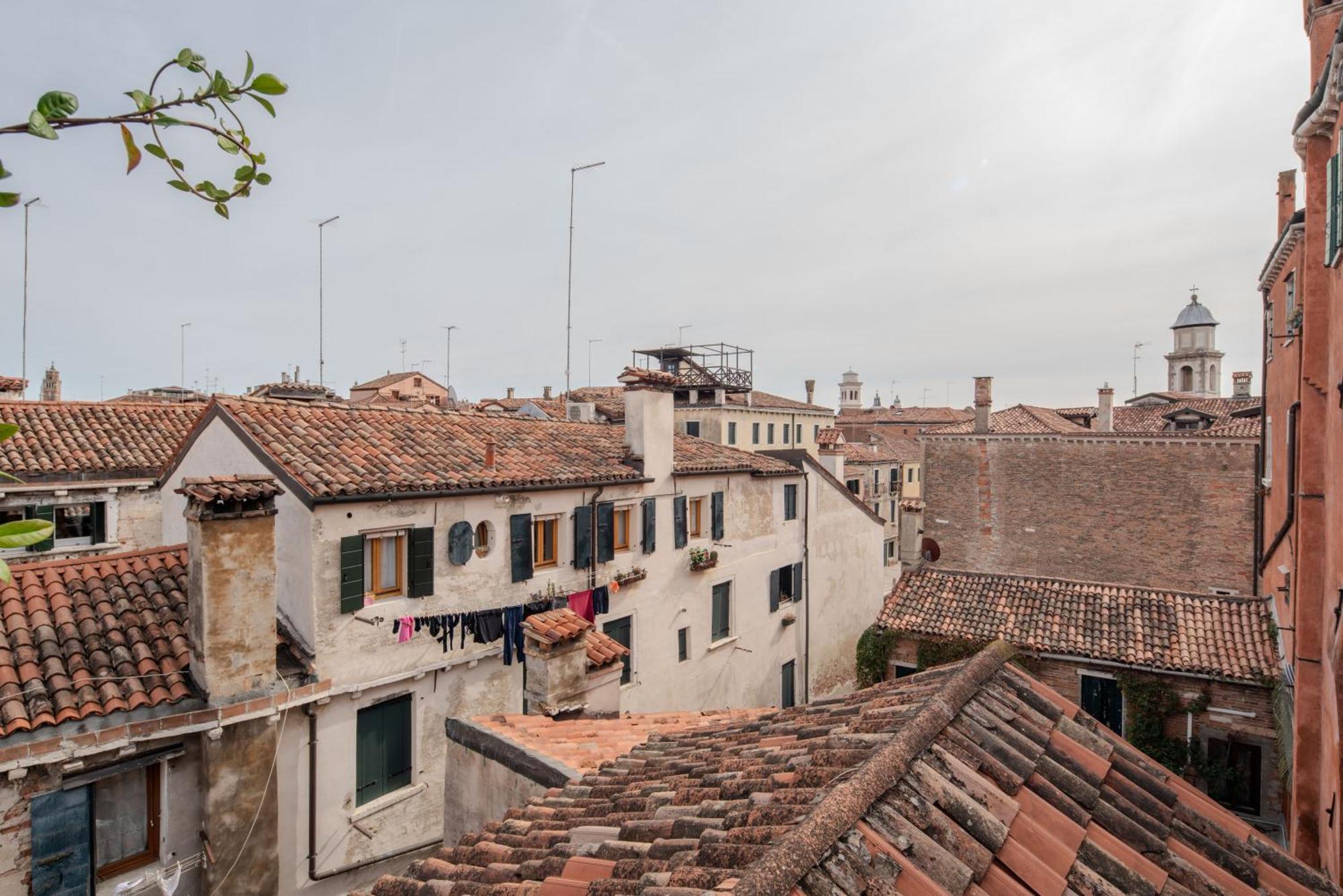 Altana Studio * Venice